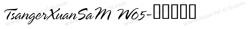 TsangerXuanSaM W05字体转换